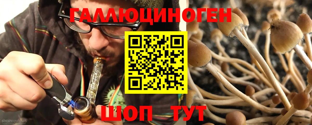 Псилоцибиновые грибы прущие грибы Углич